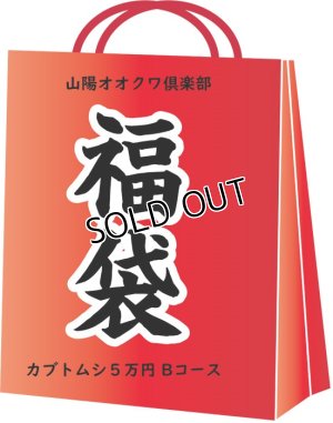 画像1: 2019年山陽オオクワ倶楽部　福袋 カブトムシコース5万円Bコース