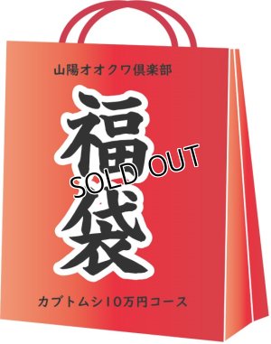 画像1: 2019年山陽オオクワ倶楽部　福袋 カブトムシコース10万円コース