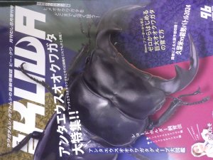 画像1: 新刊！BEKUWA 96号 （送料無料はネコポスのみ）