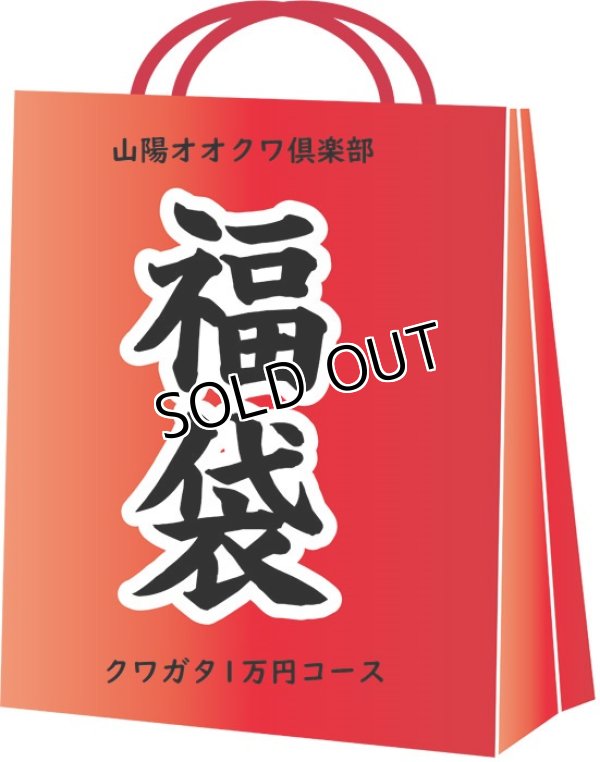 画像1: 2019年山陽オオクワ倶楽部　福袋 クワガタコース1万円コース (1)