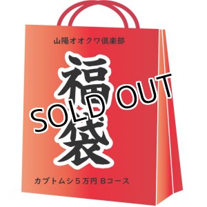 画像: 2019年山陽オオクワ倶楽部　福袋 カブトムシコース5万円Bコース