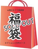 画像: 2019年山陽オオクワ倶楽部　福袋 カブトムシコース2万円コース