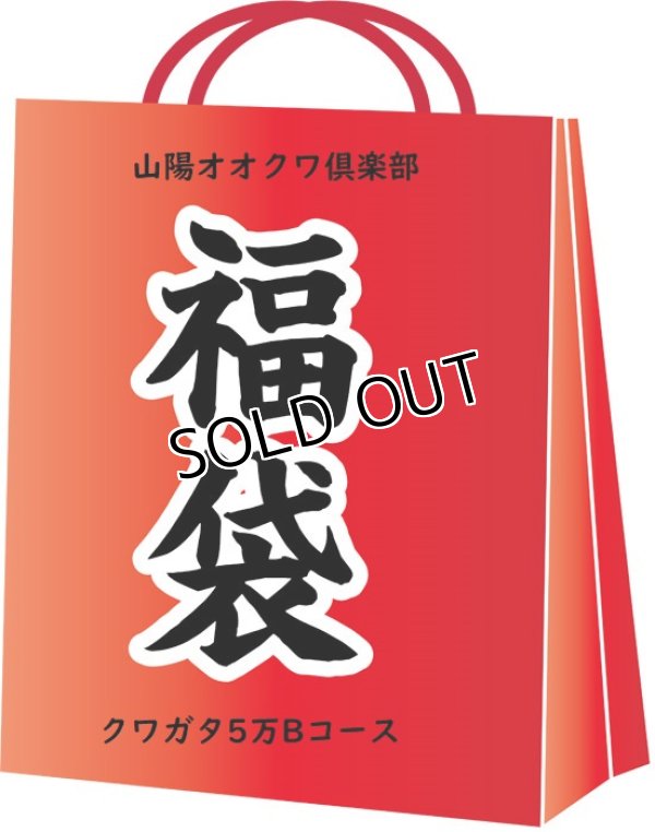 画像1: 2019年山陽オオクワ倶楽部　福袋 クワガタコース5万円Bコース (1)