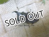 画像: 超激レア！カラーアイ？希少人気種！ラティオキナティブス☆♂35ミリ♀30ミリ新成虫ペア