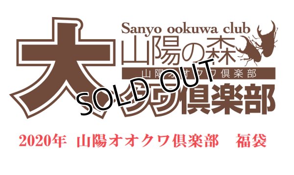 画像1: 2020年山陽オオクワ倶楽部　福袋 カブトムシ 3万円　A (1)