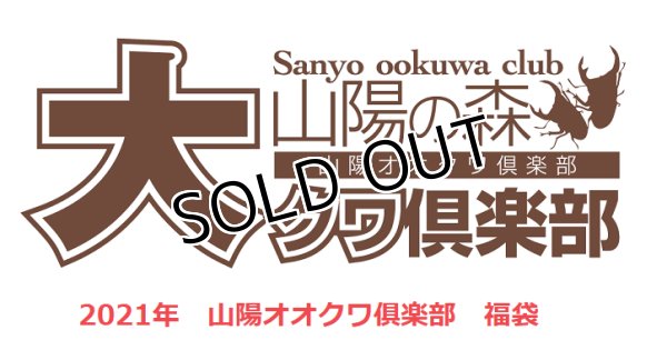 画像1: 2021年山陽オオクワ倶楽部　福袋 カブトムシ　1万円　（限定2セット） (1)