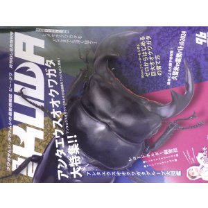 画像: 新刊！BEKUWA 96号 （送料無料はネコポスのみ）