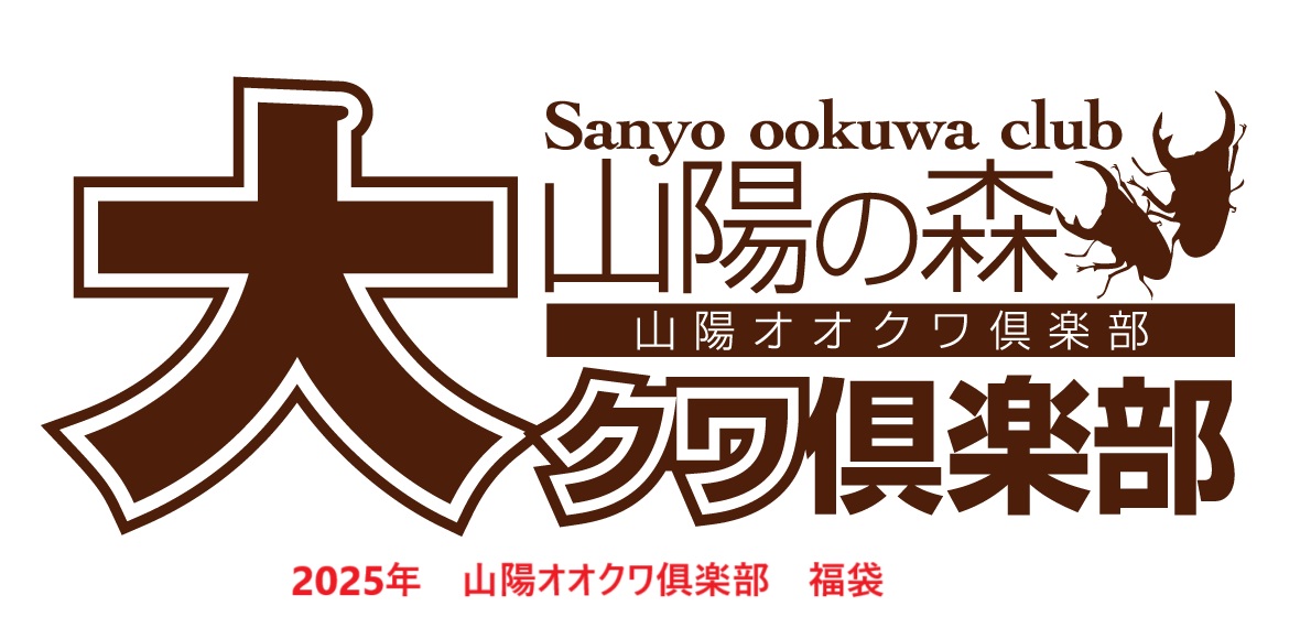 画像1: 2025年山陽オオクワ倶楽部　福袋 カブトムシ　5万円　（限定2セット） (1)