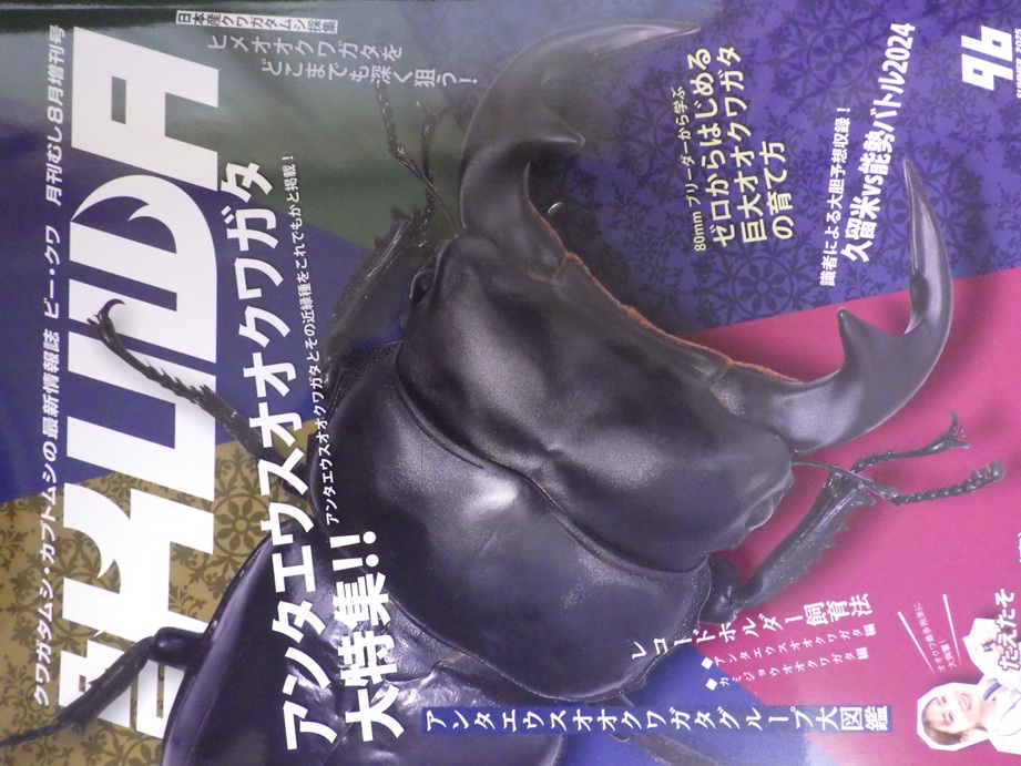 画像1: 新刊！BEKUWA 96号 （送料無料はネコポスのみ） (1)