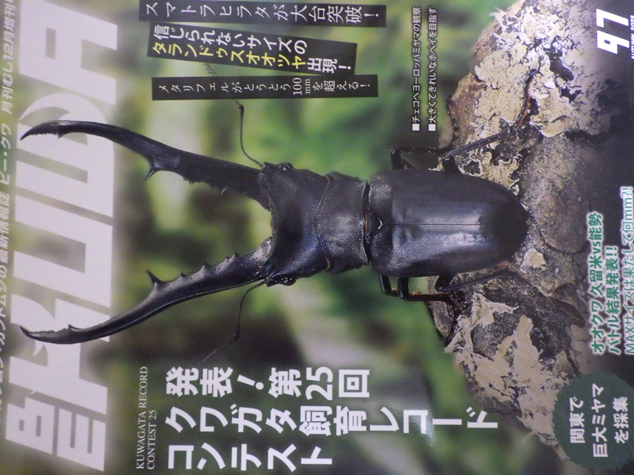 画像1: 新刊！BEKUWA 97号 （送料無料はネコポスのみ） (1)